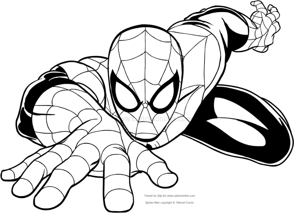Dibujo de spider
