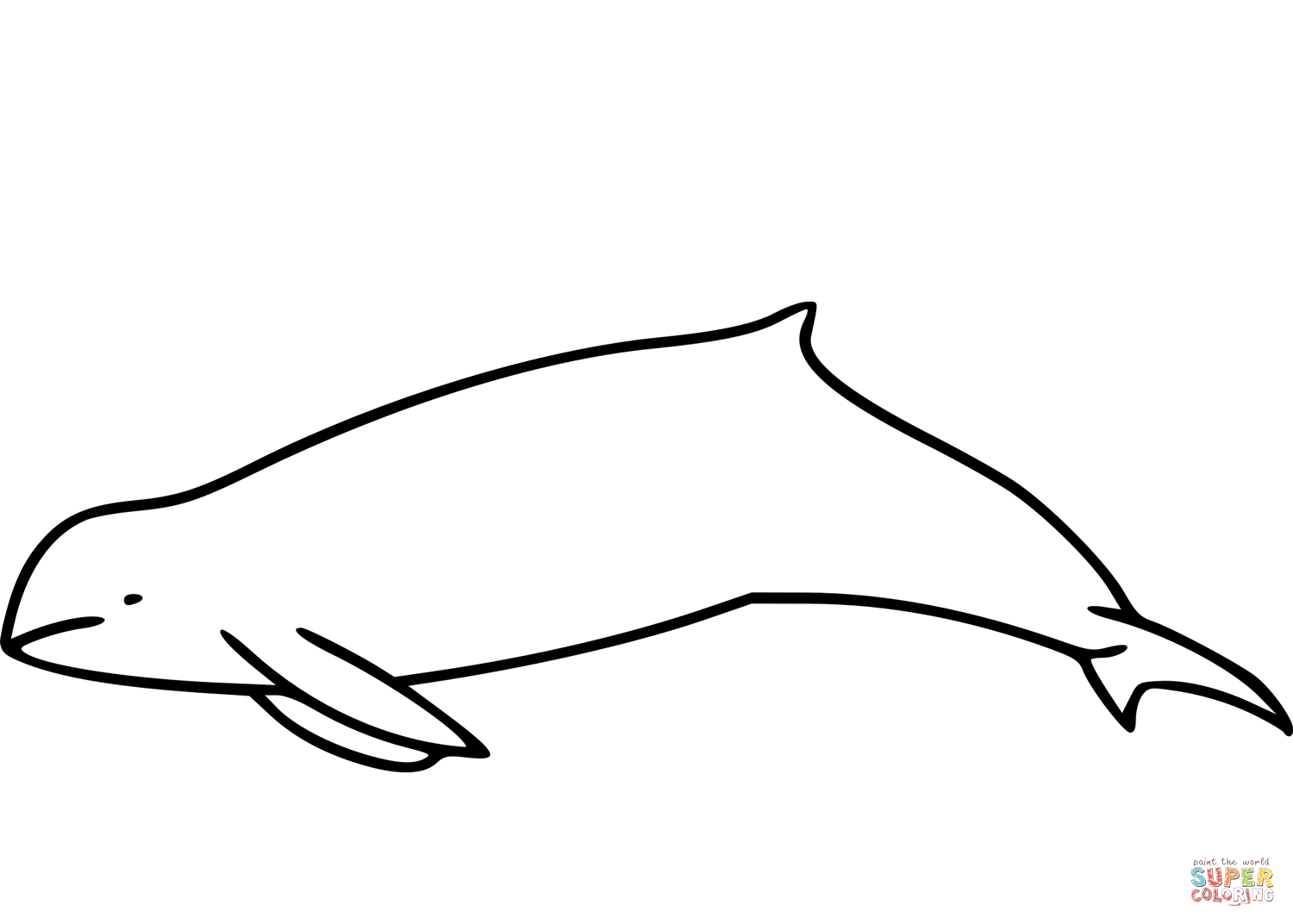 Dibujo de delfãn irrawaddy para colorear dibujos para colorear imprimir gratis