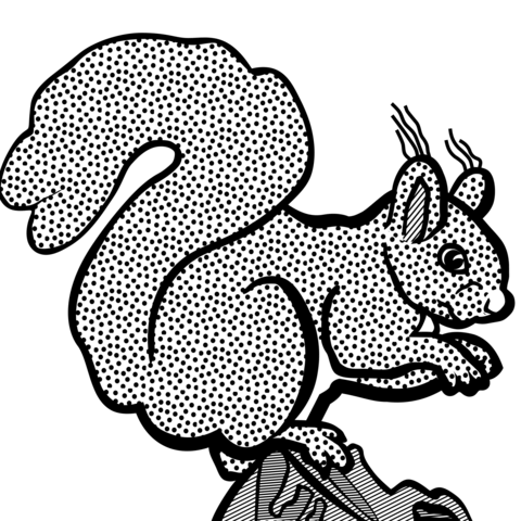 Dibujo de ardilla para colorear dibujos para colorear imprimir gratis