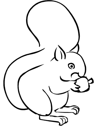 Dibujo de ardilla e bellota para colorear dibujos para colorear imprimir gratis