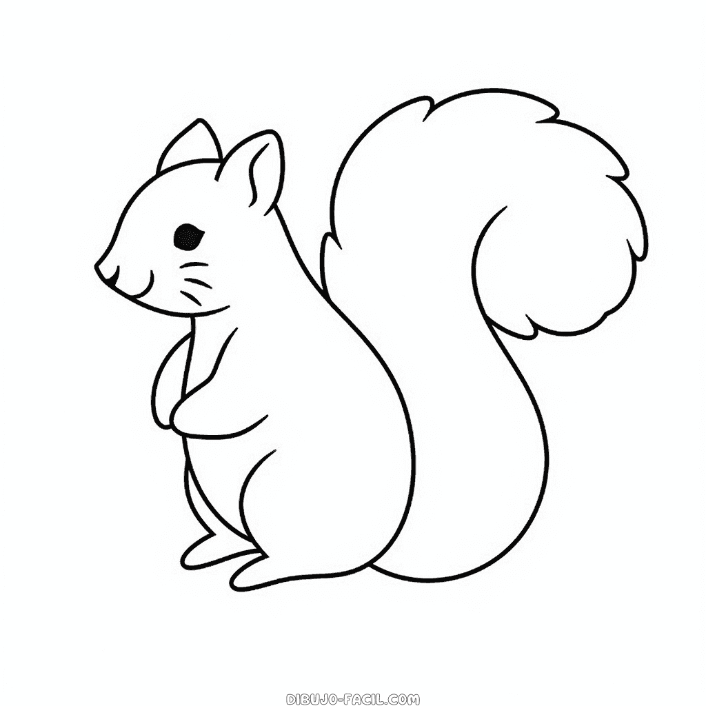 Dibujo fãcil de ardilla dibujo facil