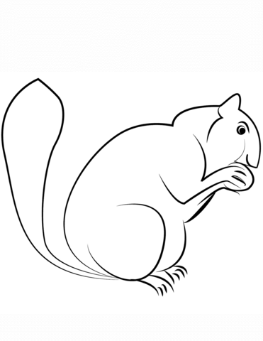 Dibujo de ardilla para colorear dibujos para colorear imprimir gratis