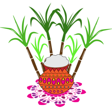 Pongal drawing png transparent images free download vector files