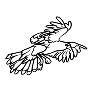Hawks coloring pages printable for free download