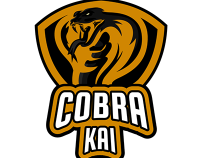 Cobrakai projects photos videos logos illustrations and branding