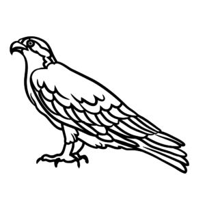 Hawks coloring pages printable for free download