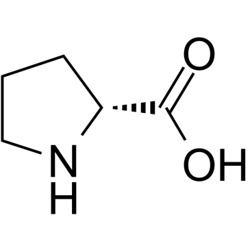 Proteases