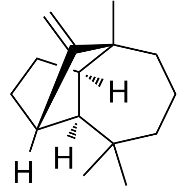 Proteases
