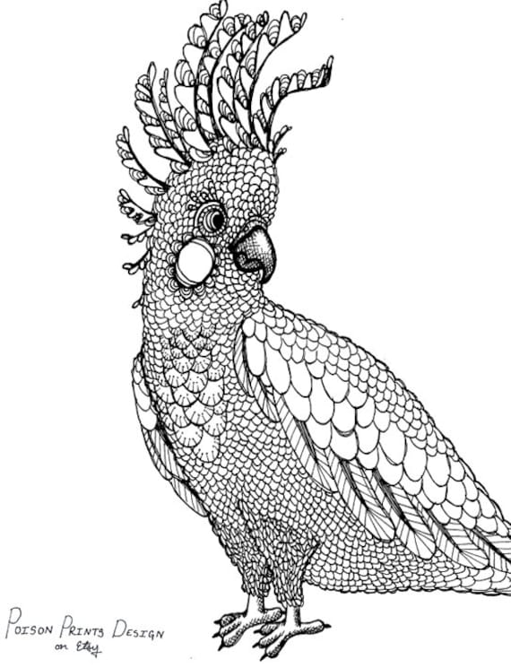 Cockatiel coloring page