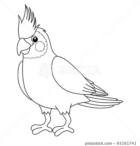 Cockatiel animal isolated coloring page for kids