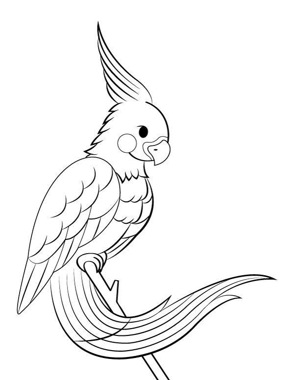 Printable perching cockatiel coloring page