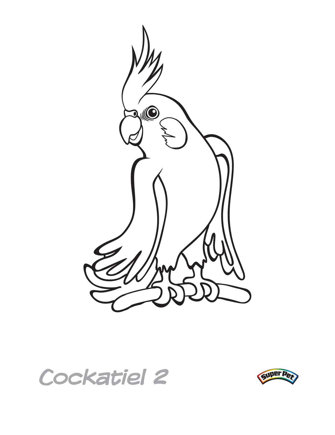 Cockatiel