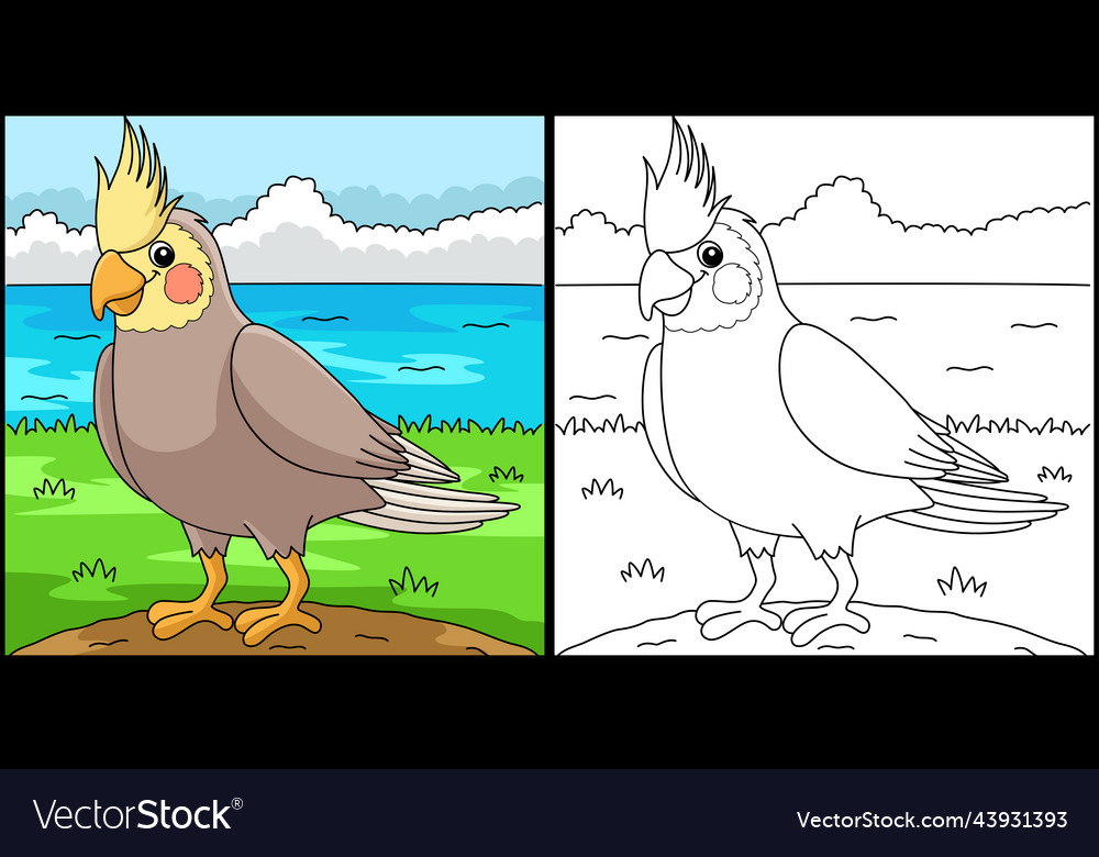 Cockatiel animal coloring page royalty free vector image