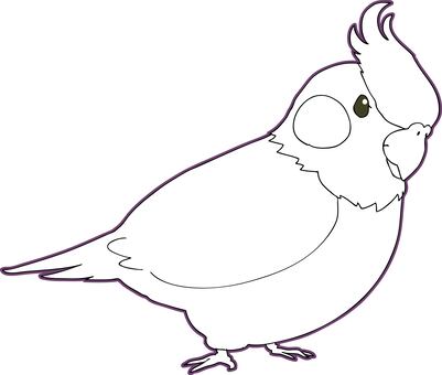 Free vectors cockatiel