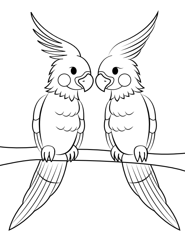 Printable cockatiels coloring page