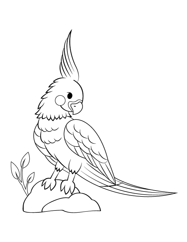Printable cockatiel standing on rocks coloring page