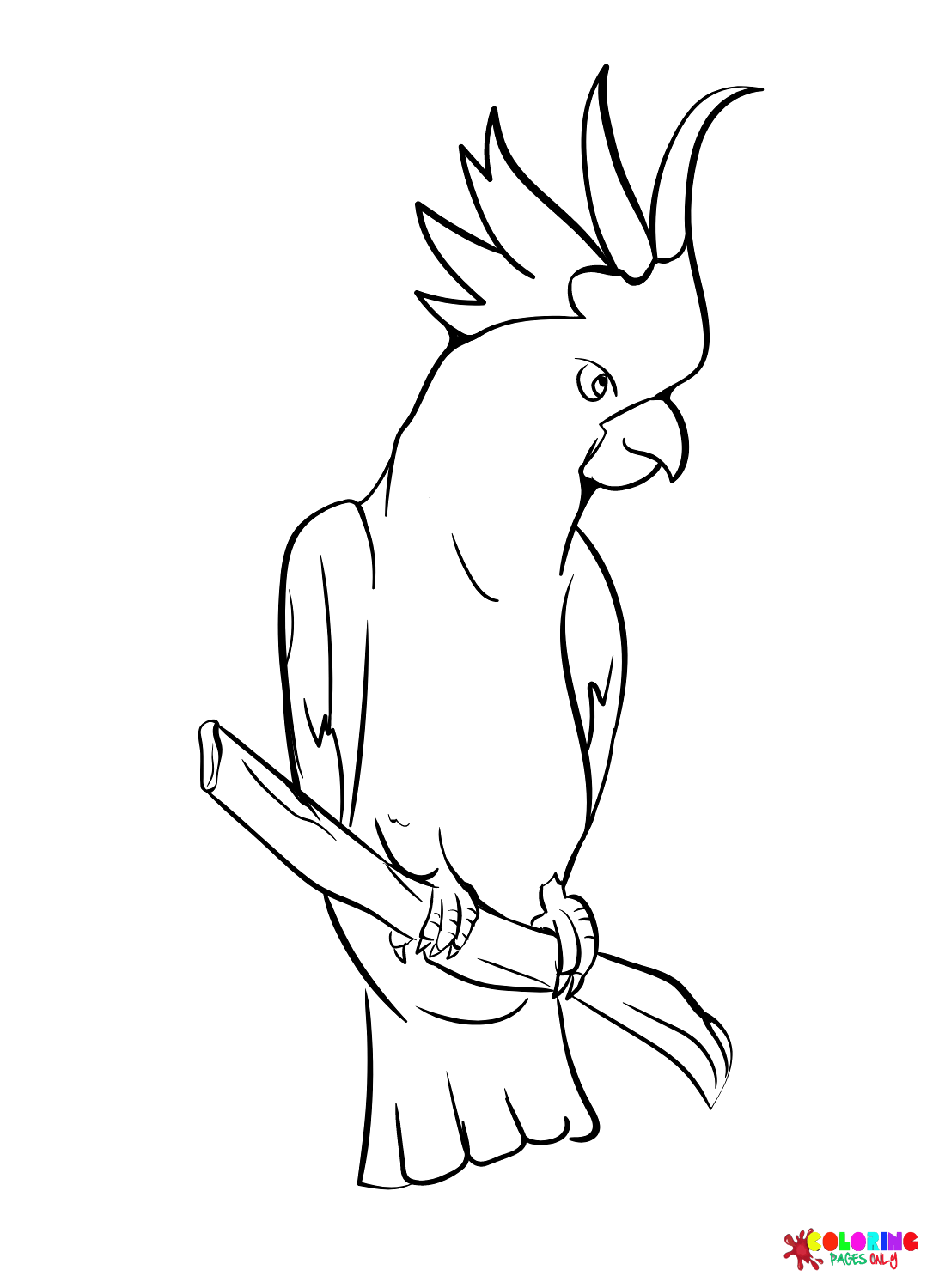 Cockatoo coloring pages