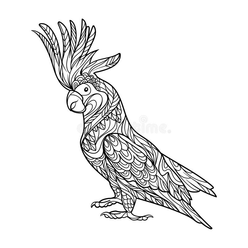 Cockatoo parrot coloring book for adults vector stock vector