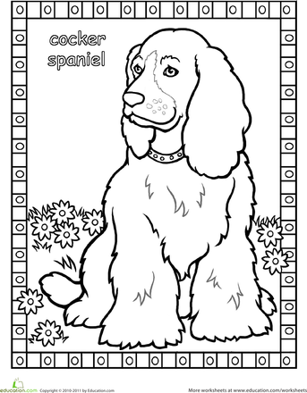 Colorful cocker spaniel coloring page
