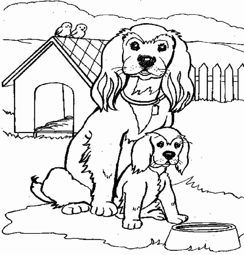 Cocker spaniel coloring pages
