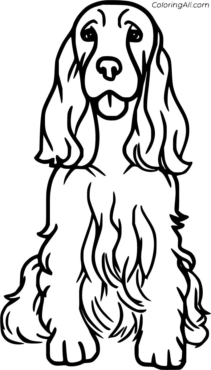 Free printable cocker spaniel coloring pages easy to print from any device and automatically fit any papeâ spaniel art dog coloring page easy animal drawings