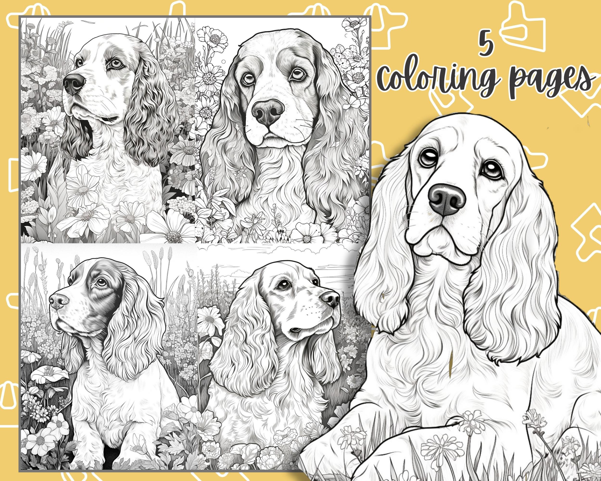 Dog coloring pages cocker spaniel coloring pages dog lovers coloring instant download