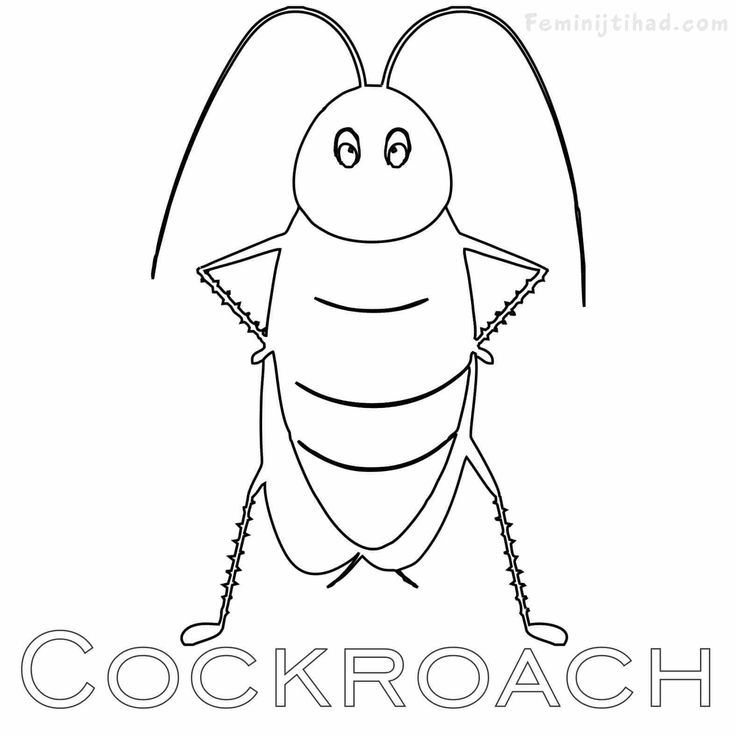 Cockroach coloring pages printable pdf