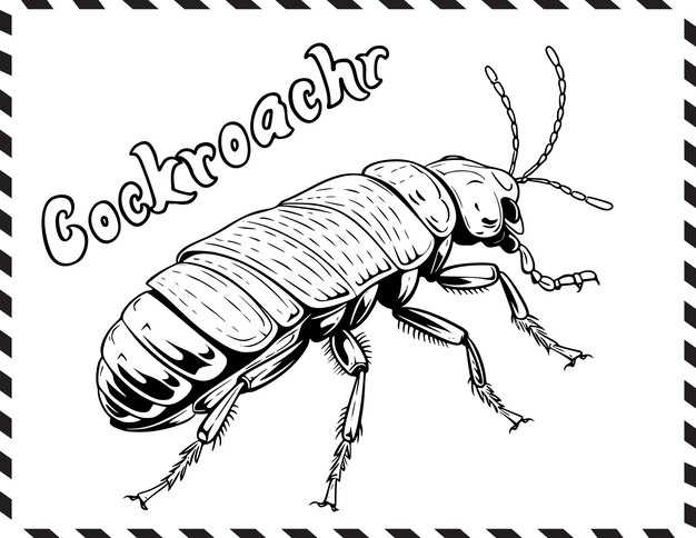 Premium vector cockroachr coloring page for kids