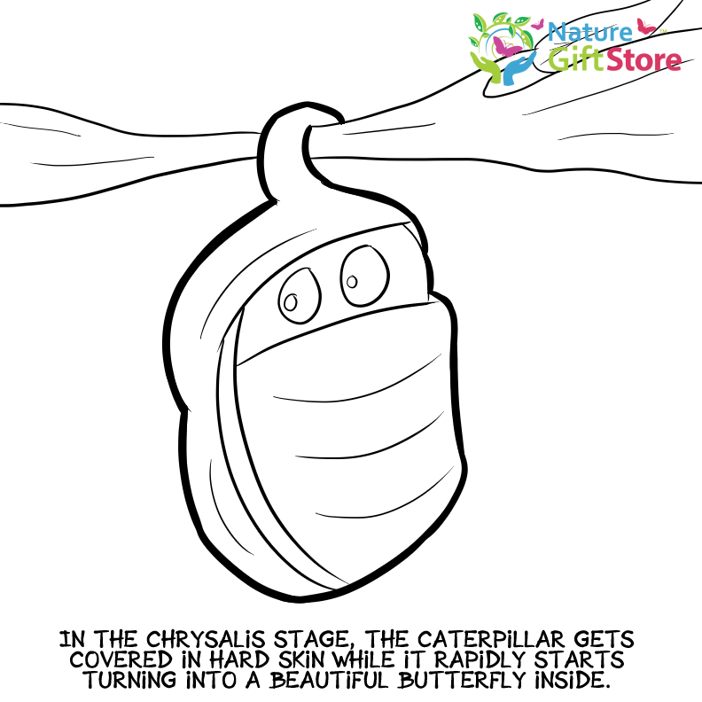 Printable coloring pages