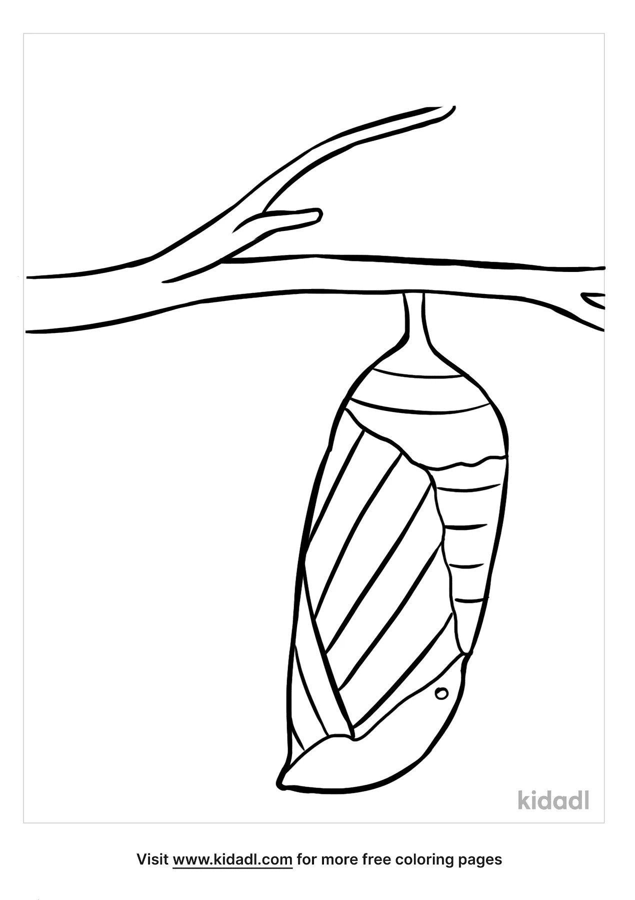 Free chrysalis coloring page coloring page printables