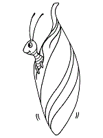 Butterfly and caterpillar coloring pages and printable activities
