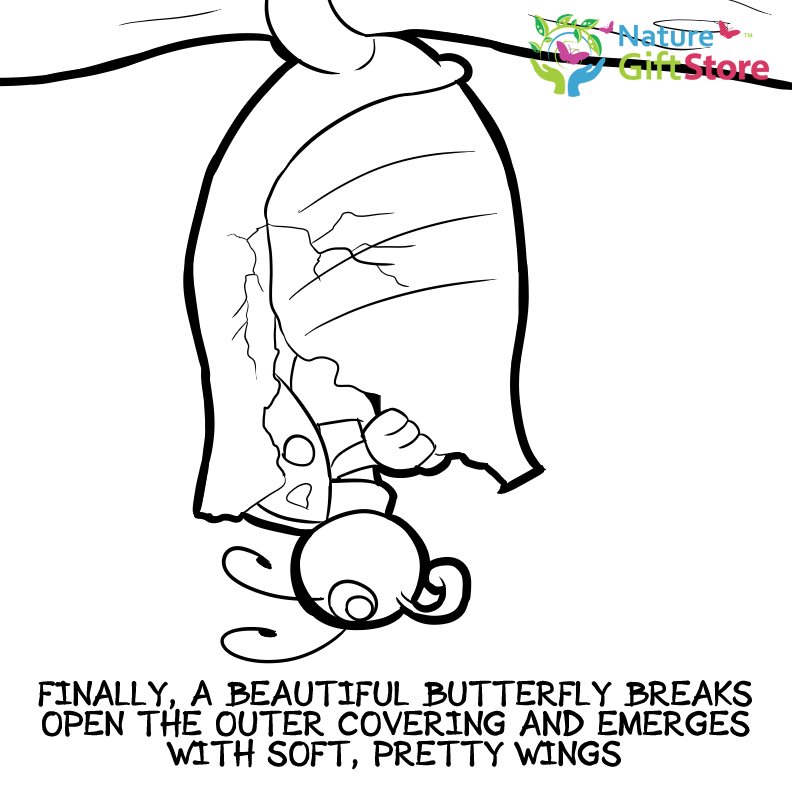 Printable coloring pages