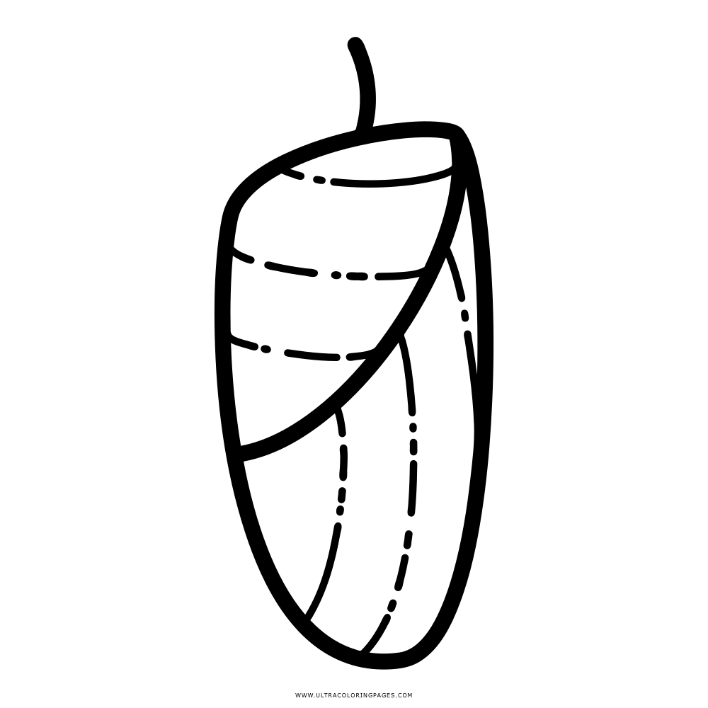 Cocoon coloring page