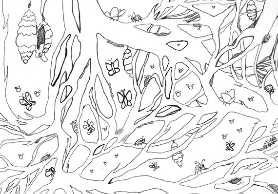 Cocoon cove digital colouring page