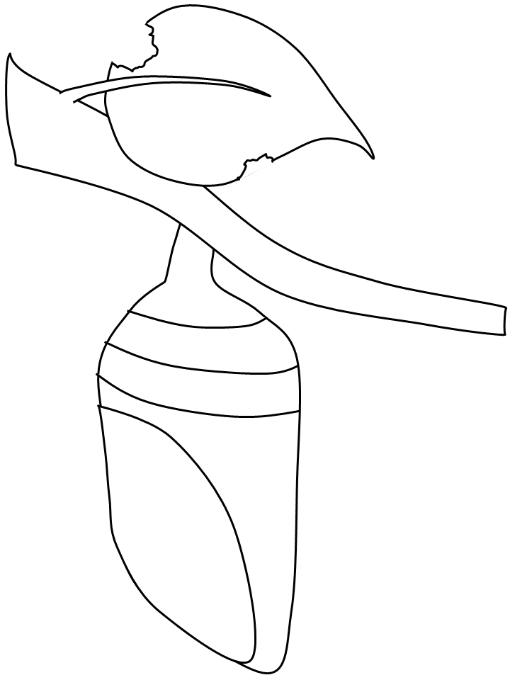 Chrysalis animals coloring pages coloring book insects theme preschool chrysalis craft coloring pages