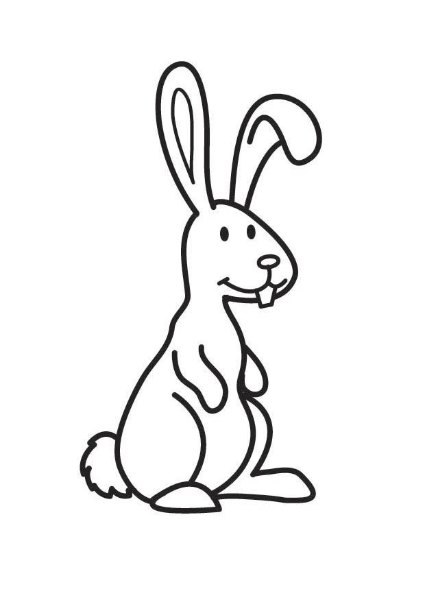 Desenho para colorir coelho