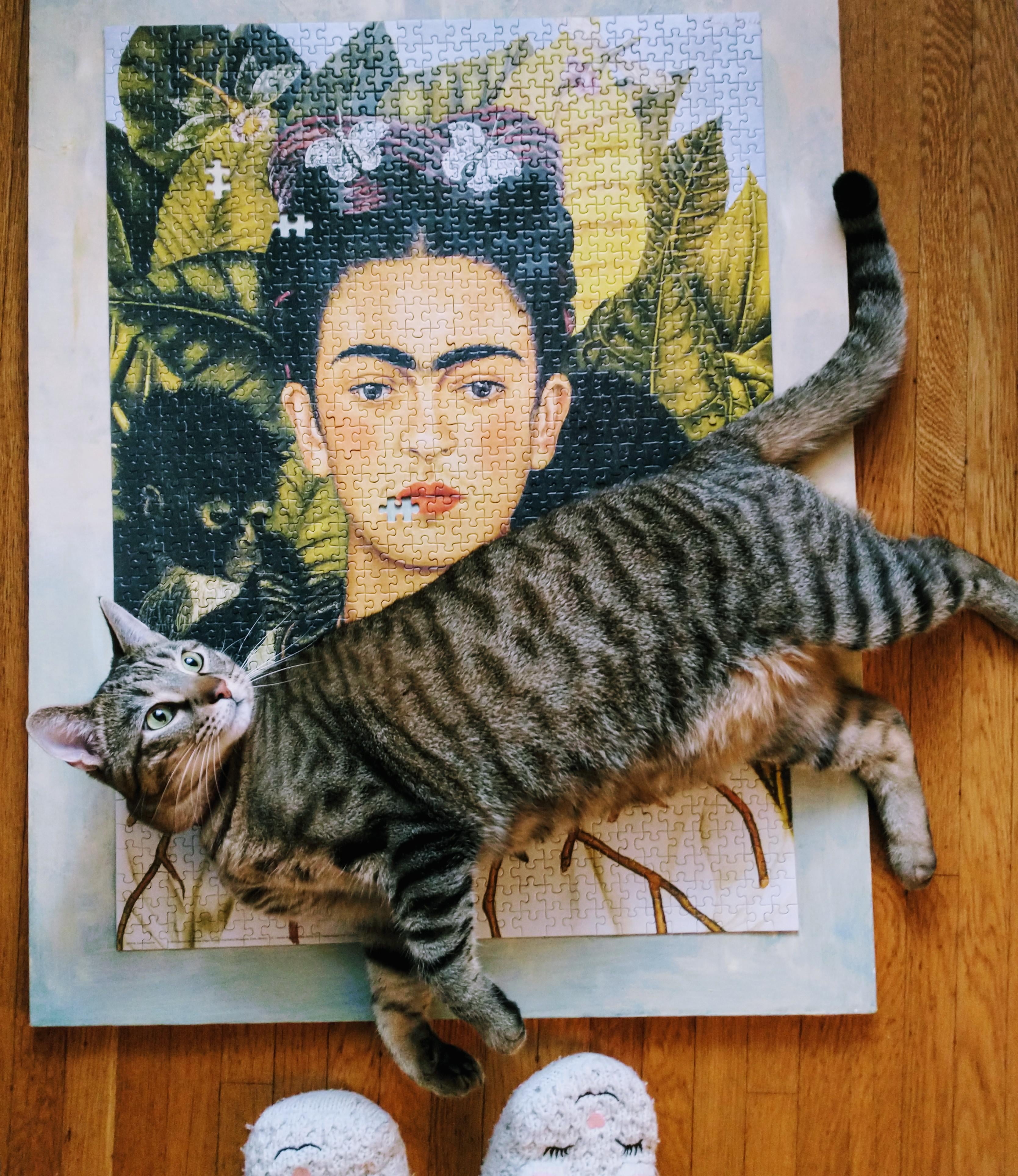 Frida kahlo