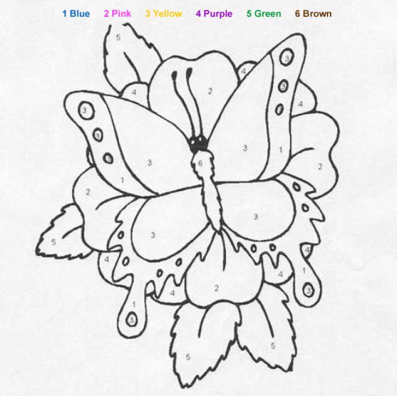 Big butterfly coloring pages