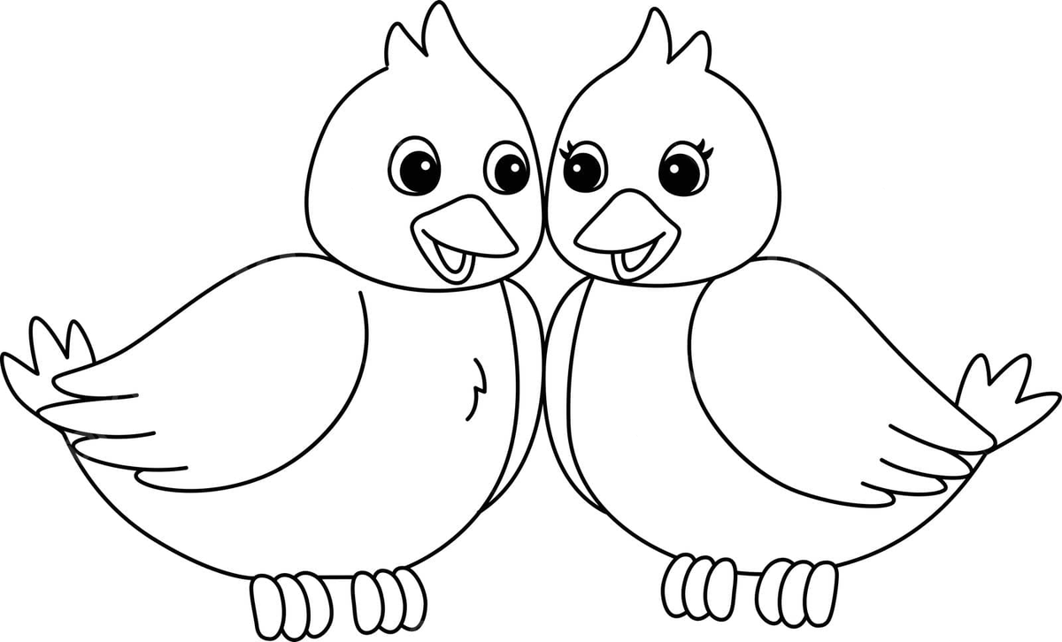 Love birds isolated coloring page for kids graphic colour drawing vector graphic colour drawing png and vector with transparent background for free download