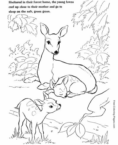 Animal coloring pages