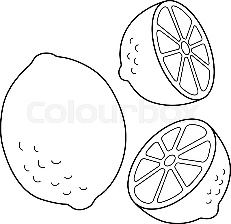 Lemon fruit isolated coloring page for kids stock vector