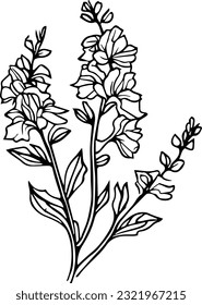 Larkspur wildflower images stock photos d objects vectors