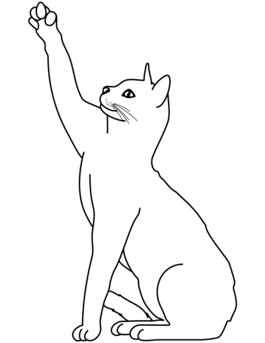 Playing cat coloring page free printable coloring pages