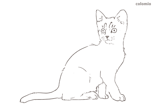 Cats coloring pages free printable cat coloring sheets