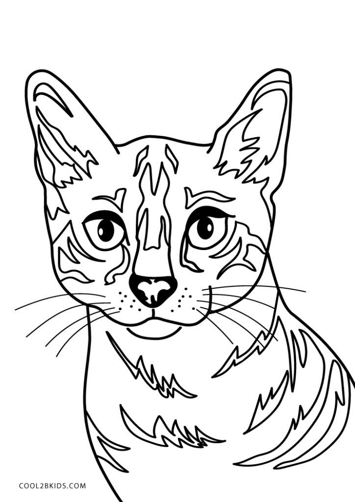 Free printable cat coloring pag for kids cat coloring book cat coloring page dog coloring book