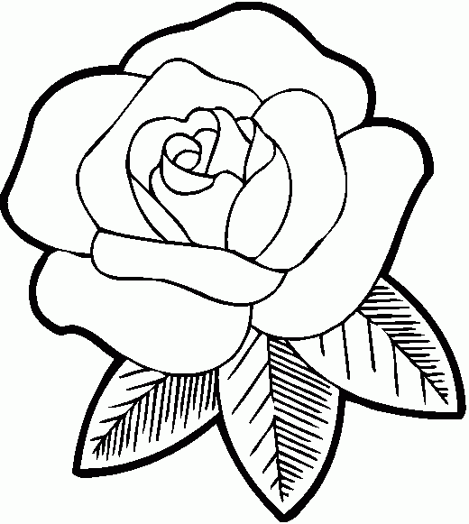 Imagen de rosas para colorear pãginas para colorear lindas pãginas para colorear en lãnea dibujo de rosa fãcil