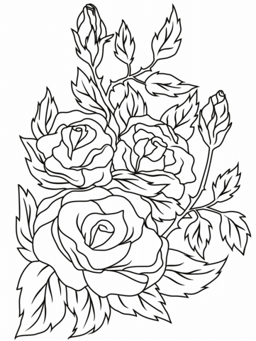 Dibujo de rosa para colorear dibujos para colorear imprimir gratis