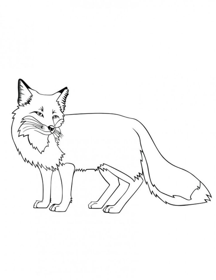 Dibujos de zorros para colorear y pintar fox coloring page horse coloring pages animal coloring pages