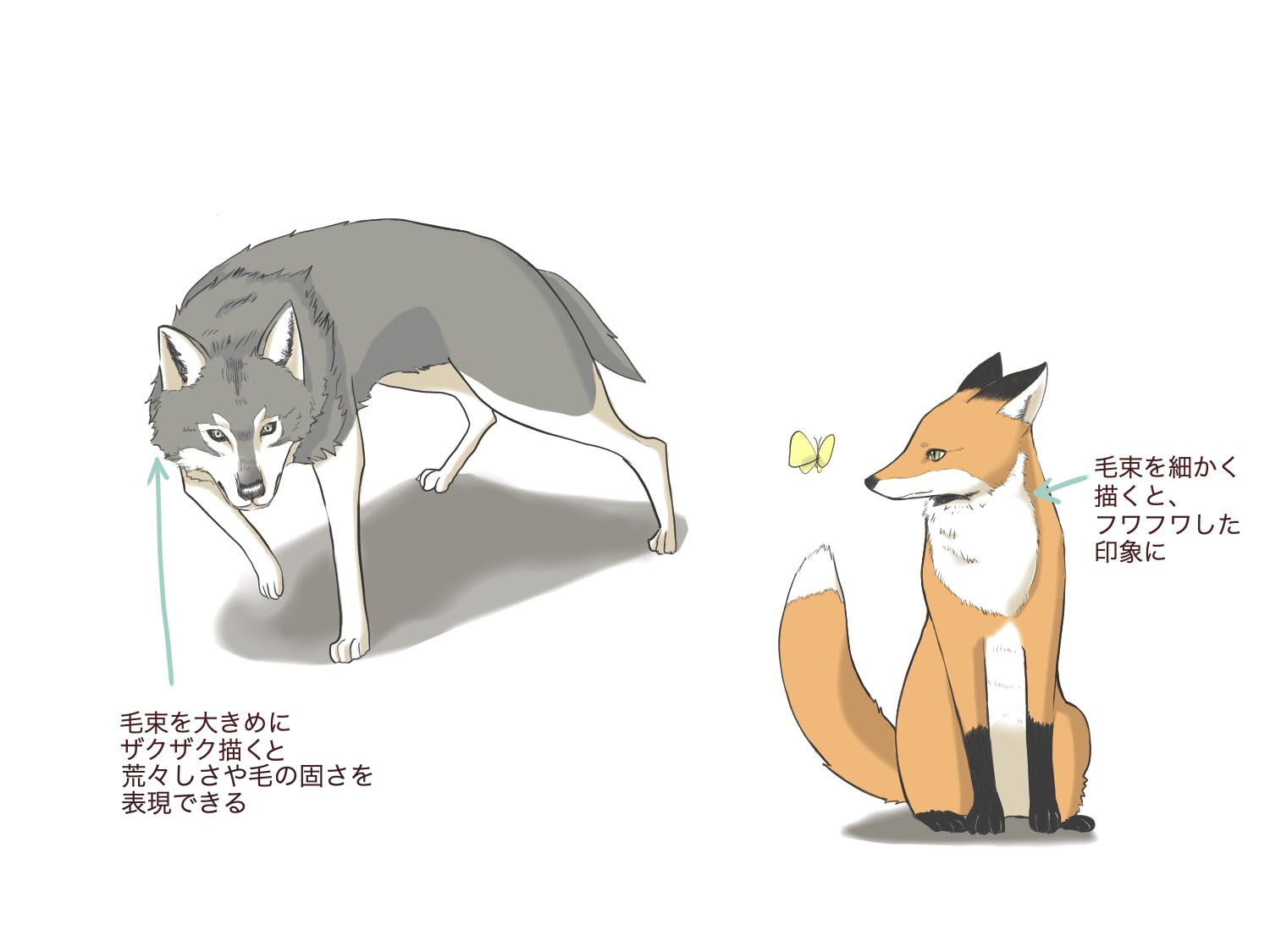 Cãmo dibujar un zorro y un lobo medibang paint