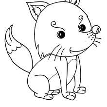 Cute fox coloring pages